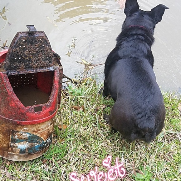 Meet your Posher, Jessica - Picture 3 of 5